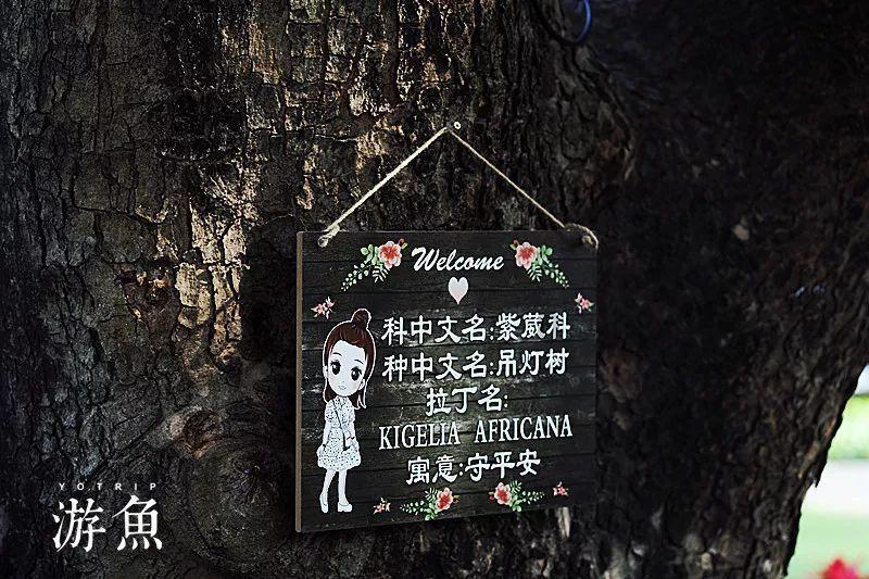 超物理基斗