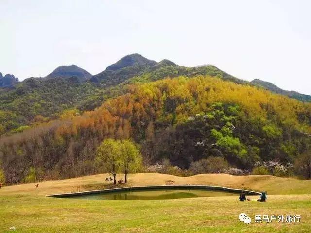 消除六边形