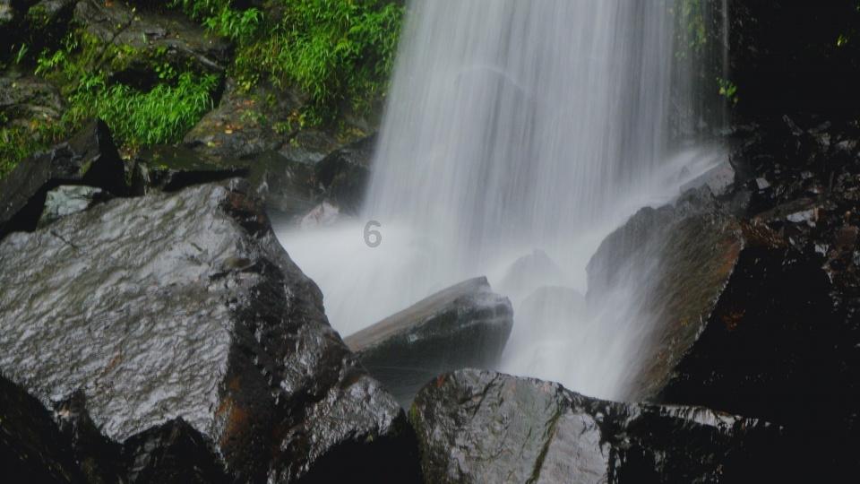 沪江开心词场