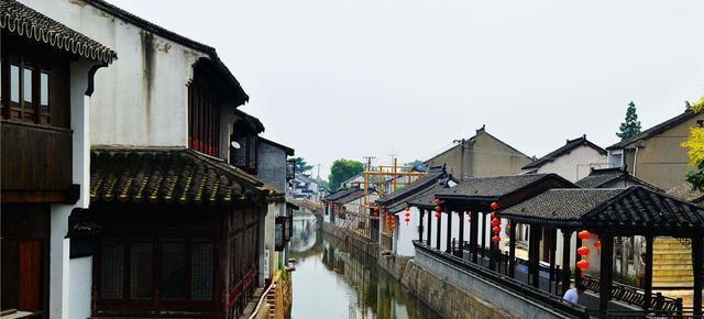 救援小棕兔